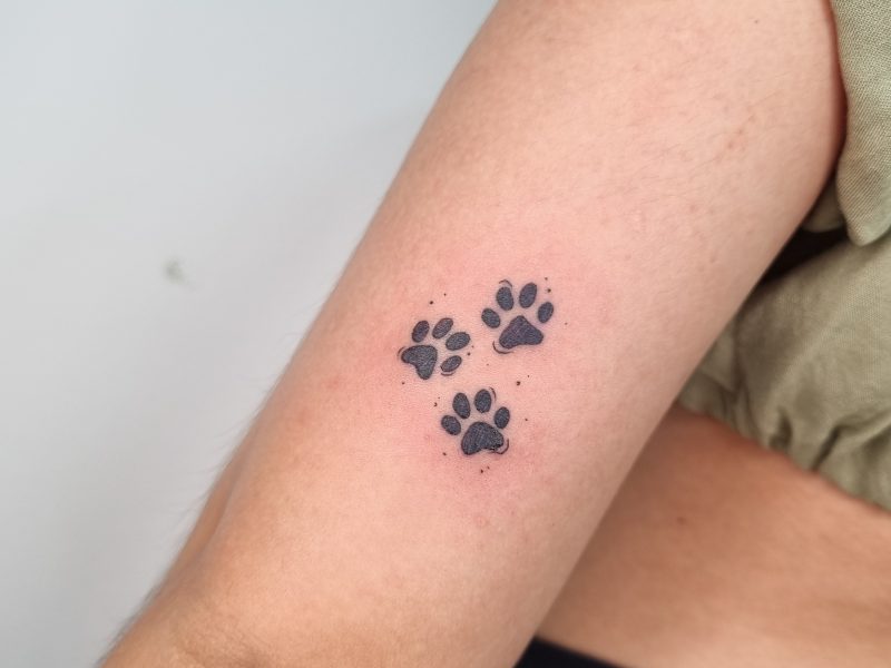 Requena Tattoo Eventos